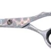 DMI S550 Hairdressing Scissor, Iridescent Silver 5.5" -Hairdressing Series Store 001087