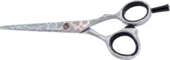 DMI S550 Hairdressing Scissor, Iridescent Silver 5.5"