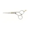 Joewell C-One Scissor 5.5" -Hairdressing Series Store 014808 1