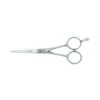 Joewell Classic Scissor 6" -Hairdressing Series Store 02001