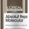 L'Oreal L'Oréal Professionnel Série Expert Absolut Repair Molecular Rinse-Off Serum 250ml 2 L'Oreal L'Oréal Professionnel Série Expert Absolut Repair Molecular Rinse-Off Serum 250ml -Hairdressing Series Store 03747