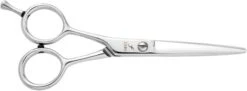 Joewell Left Handed Scissor 5"